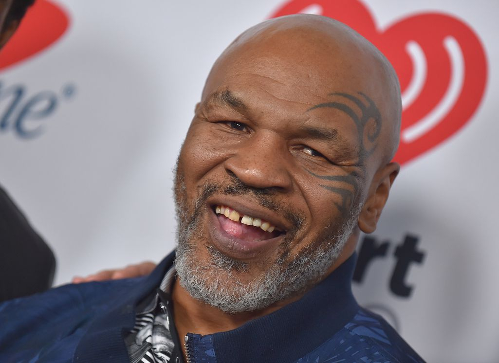 Video: Mike Tyson sauhuttelee valtavaa marihuanatuuttia - nyrkkeilylegenda omistaa 16 hehtaarin kannabisfarmin Kaliforniassa: ”Aloin polttaa kun olin jotain kymmenvuotias” Kamppailulajit Urheilu   